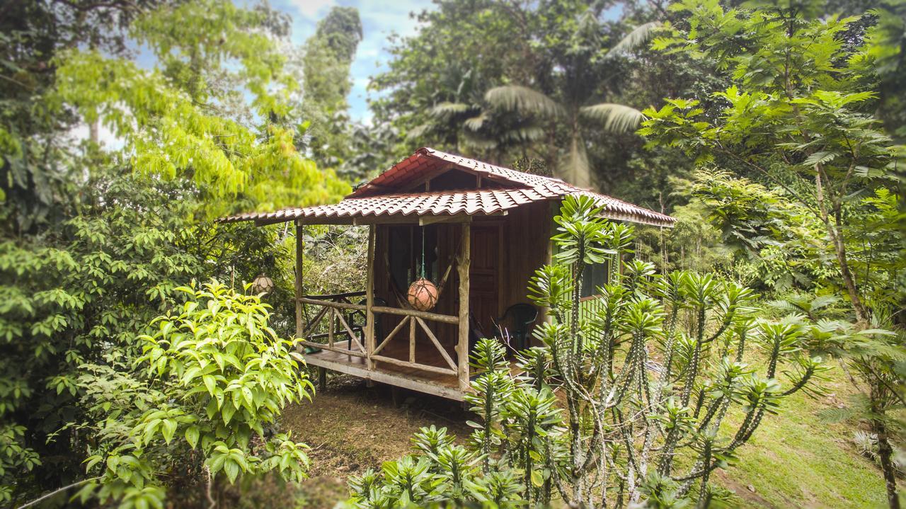 Drakes Bay Naguala Jungle Lodge מראה חיצוני תמונה